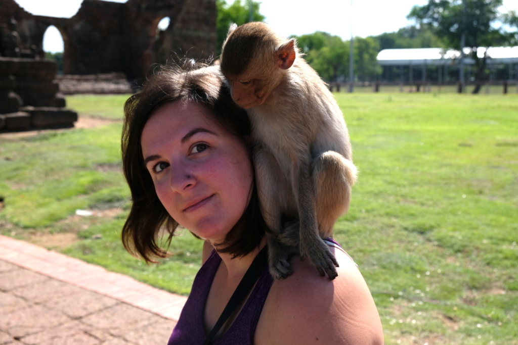 communication animale avec singe