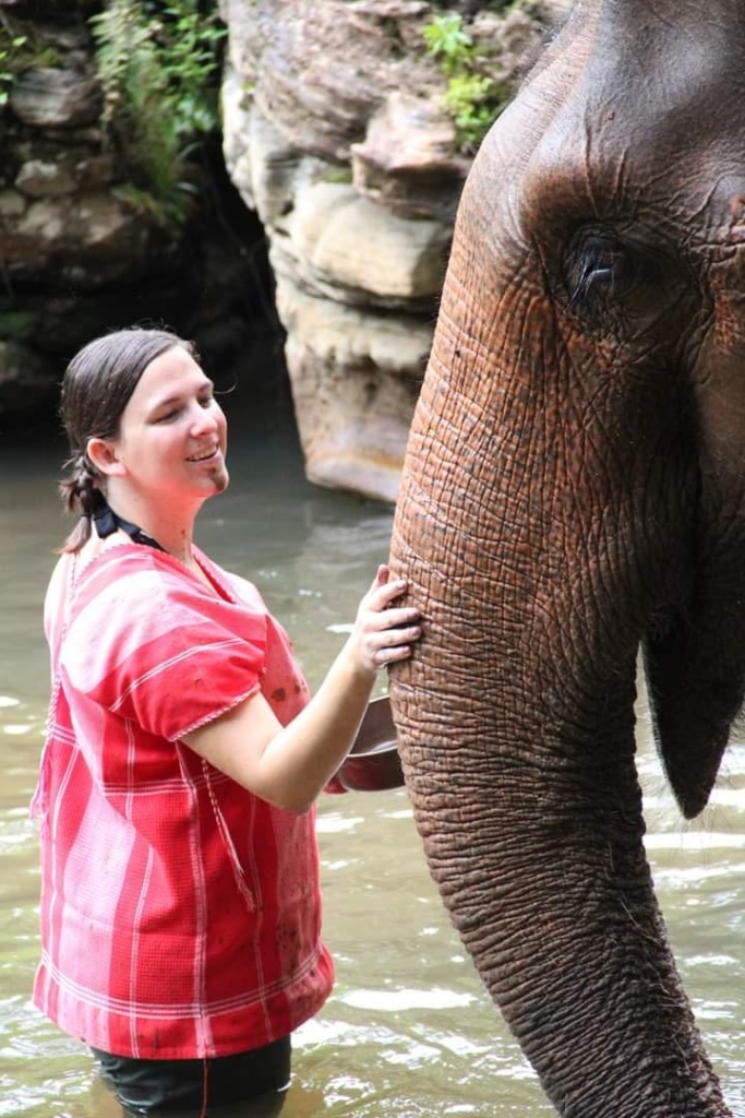 communication animale avec un éléphant
coeurs à coeurs, 